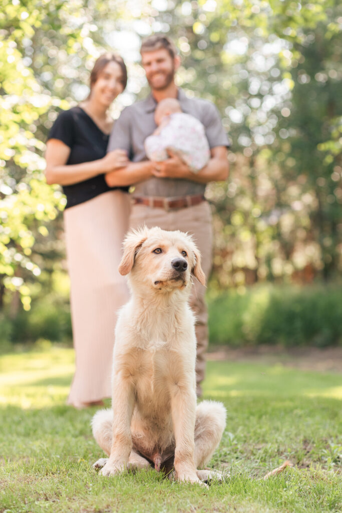 family session