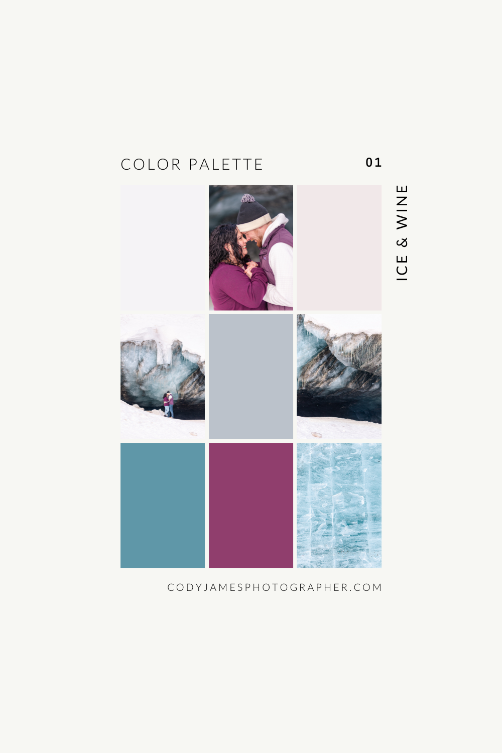 color palette for a winter engagement session