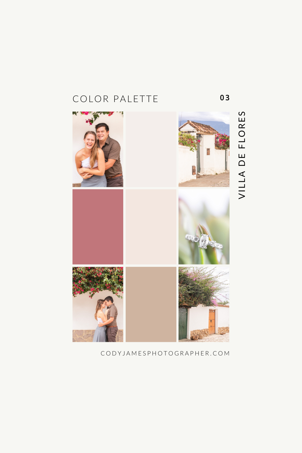 color palette for a neutral and romantic photos