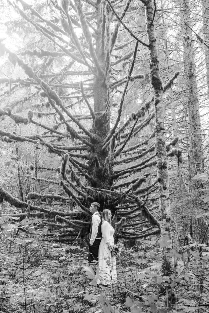 southeast alaska bridal session