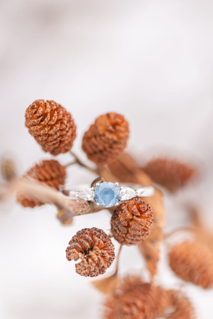 mountain engagement session