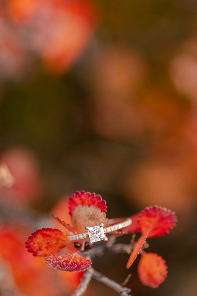 September Engagement Session