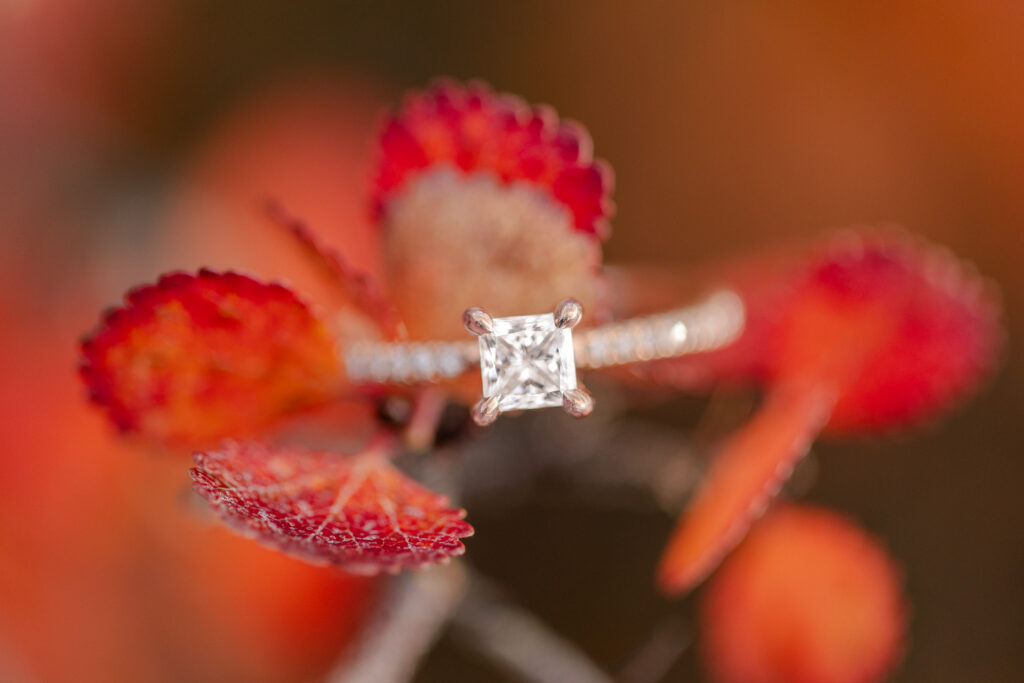 Fall Engagement Ring
