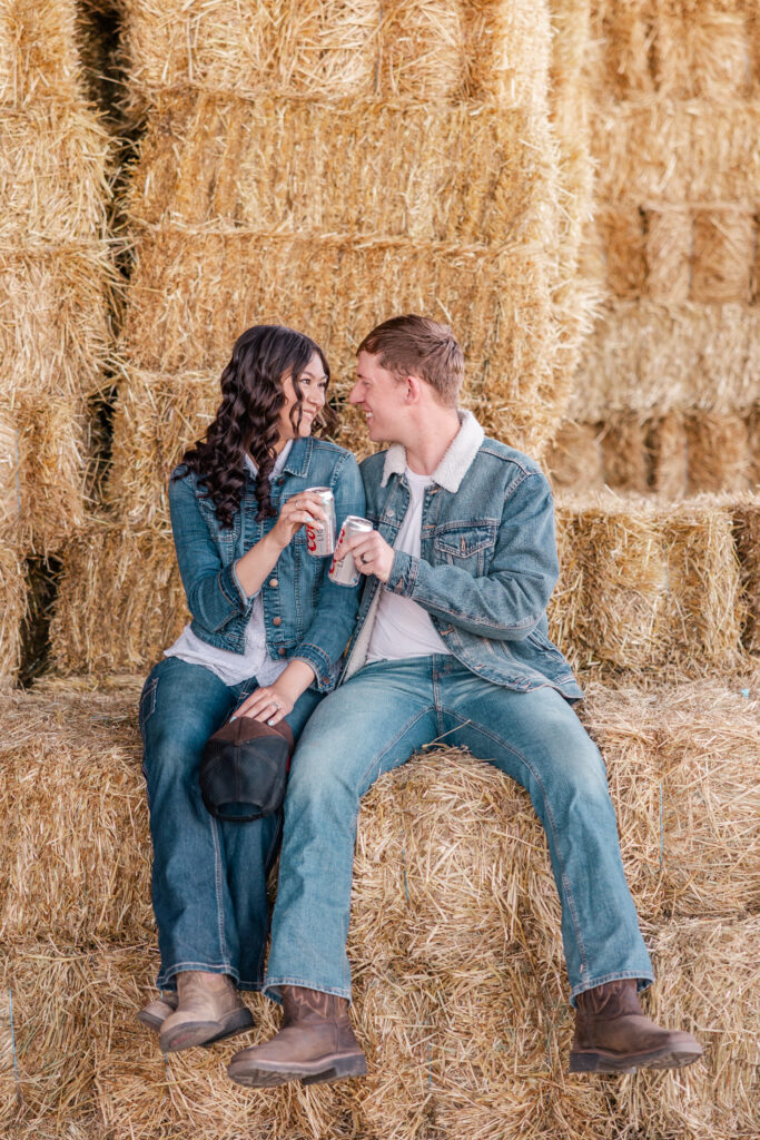 Delta Junction Farm Engagement Session