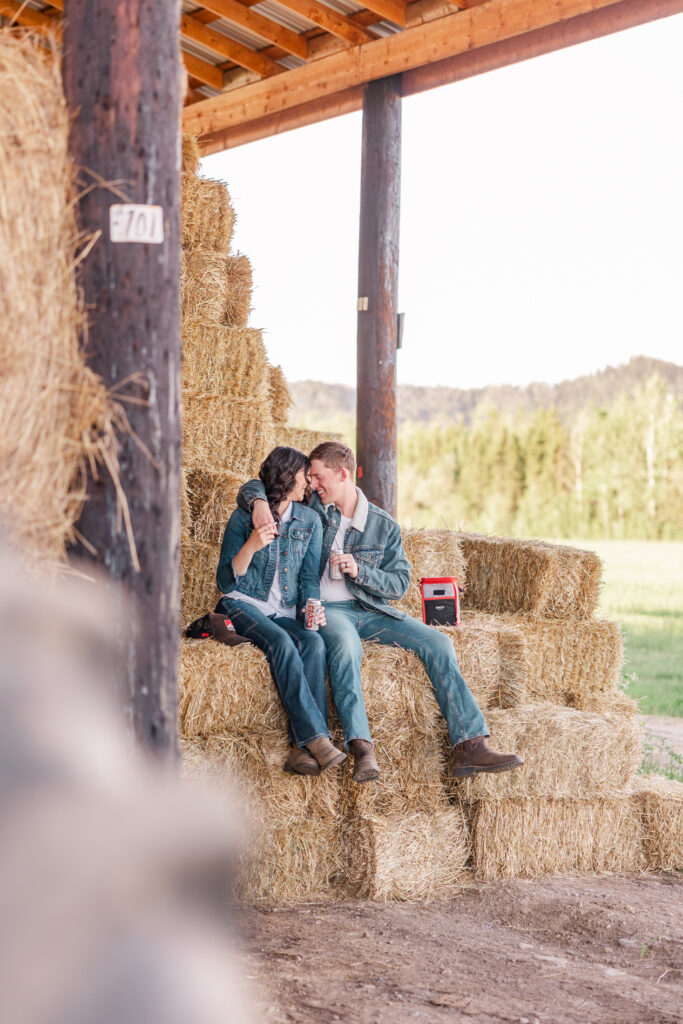 Delta Junction Farm Engagement Session